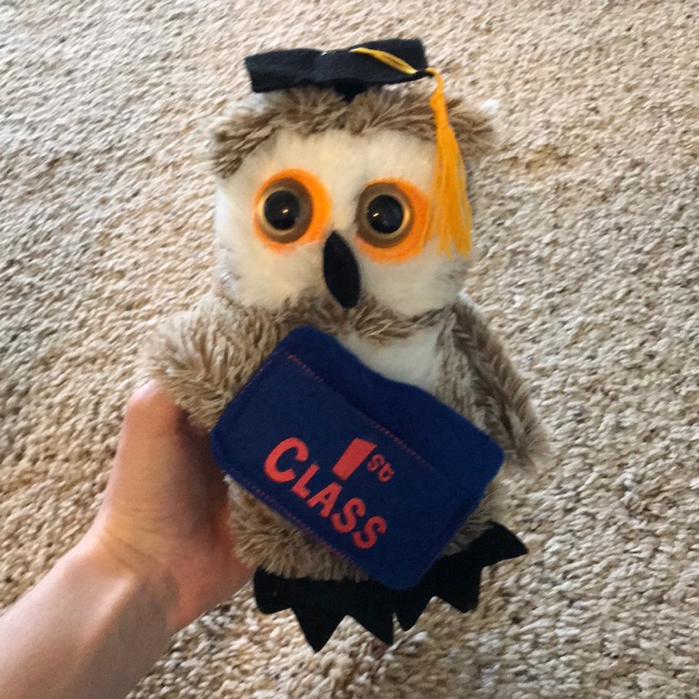 Graduation owl - holds a graduation card